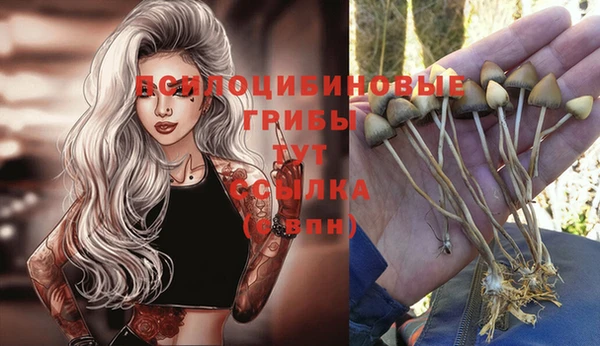бутират Алексеевка