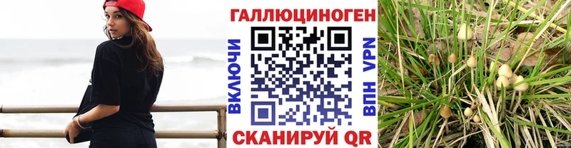 Галлюциногенные грибы Cubensis  даркнет сайт  Гдов 