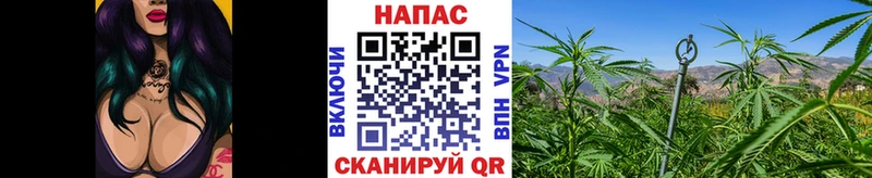 блэк спрут   Гдов  Канабис Bruce Banner 